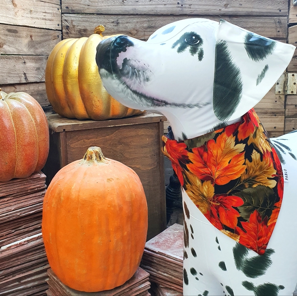 🐶 5 for $15 * Pablo Fall Autumn Leaves/Red Gold Dots Cotton Dog Bandana